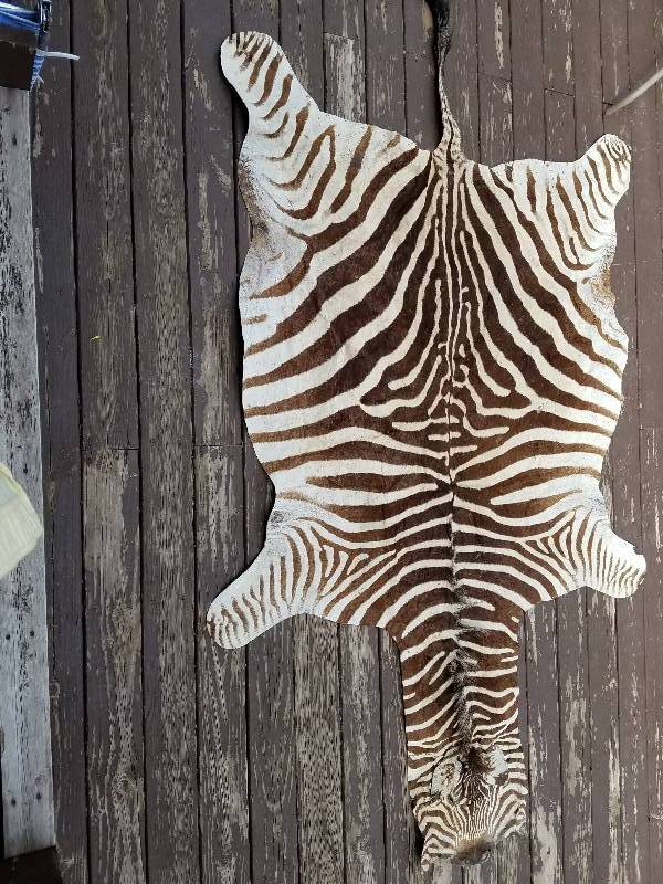 Zebra Hide