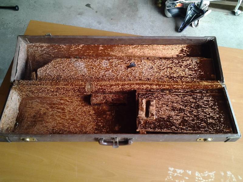 lot 13 image: Vintage Hard Side Horn Case 36 Inches (Needs Hardware Repair)