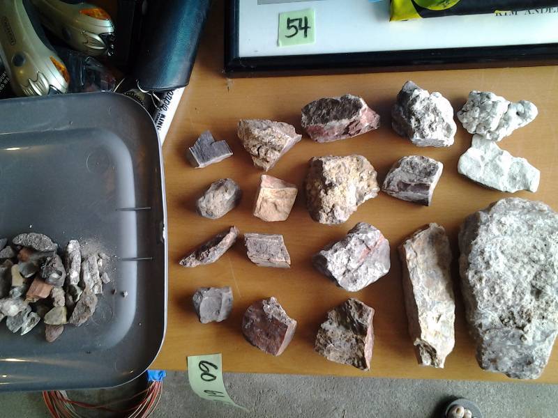 lot 60 image: Lot Of Petrified Wood