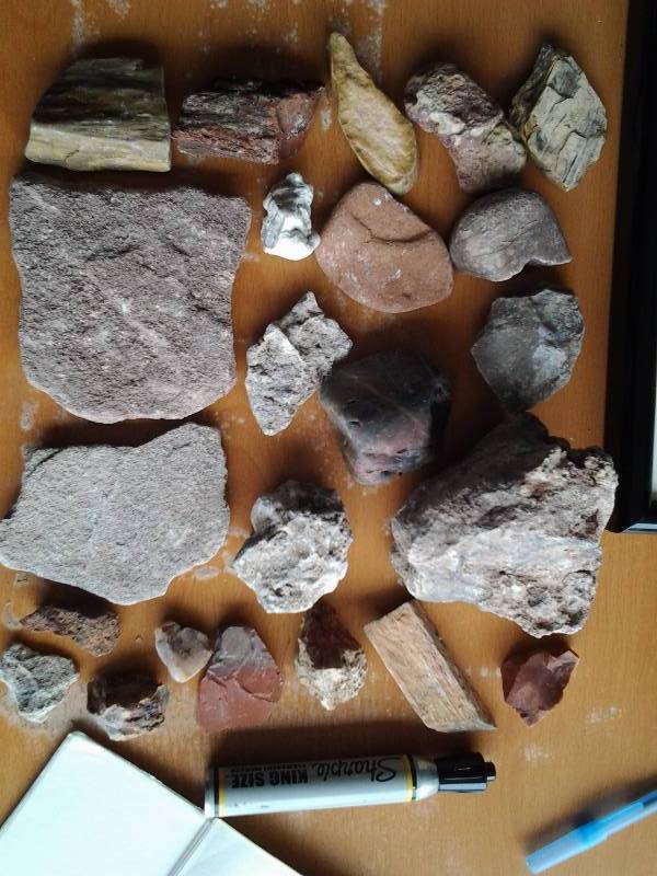lot 61 image: Lot Of Petrified Wood