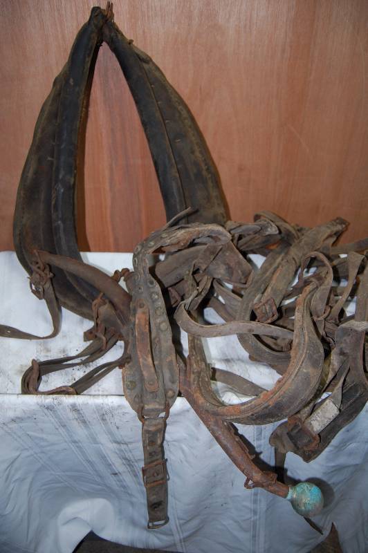 lot 342 image: Horse Tack