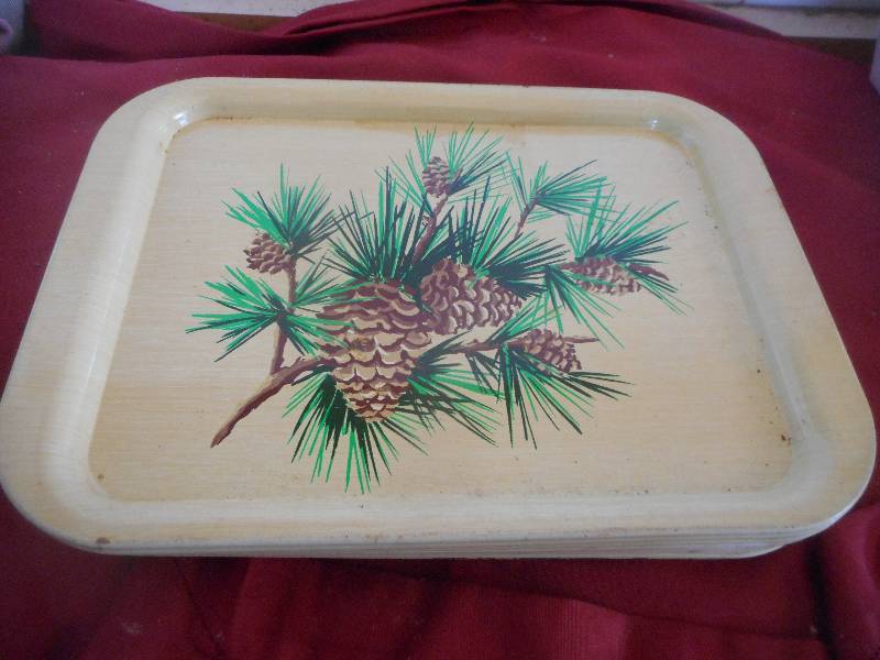 10 VINTAGE METAL TRAYS