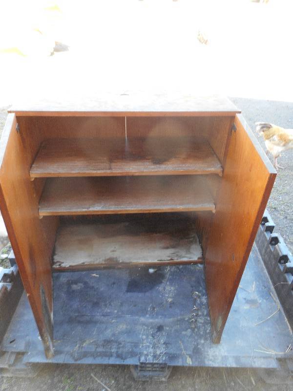 VINTAGE 2 DOOR CABNET