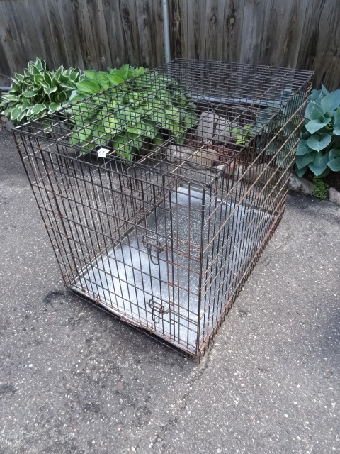 lot 65 image: Large fold up dog kennel. 28 x 42 x...