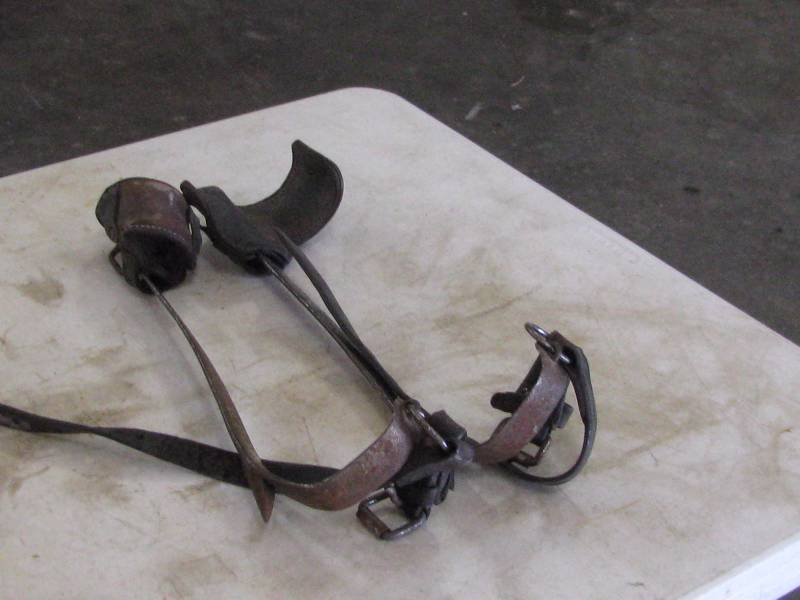 lot 15 image: Pair of Pole Climbing Spikes