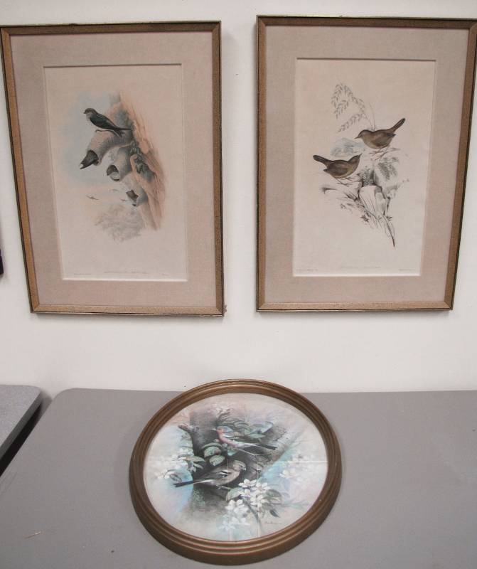 Vintage bird prints