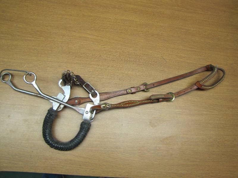 Hackamore w leather bridle