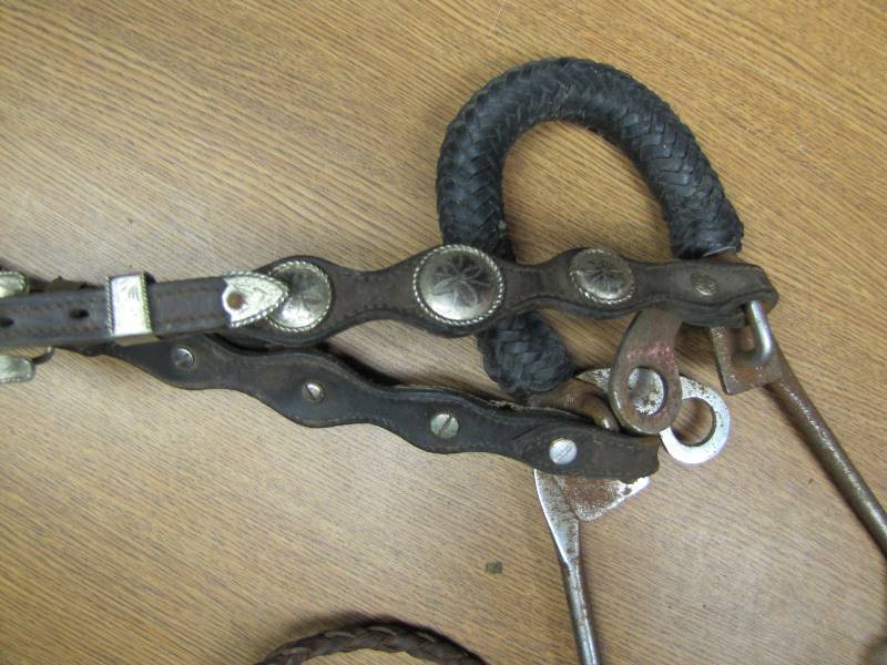 Hackamore w Fancy leather bridle