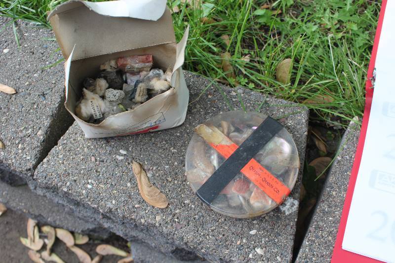 lot 200 image: Decorative Rocks, Polished Shells