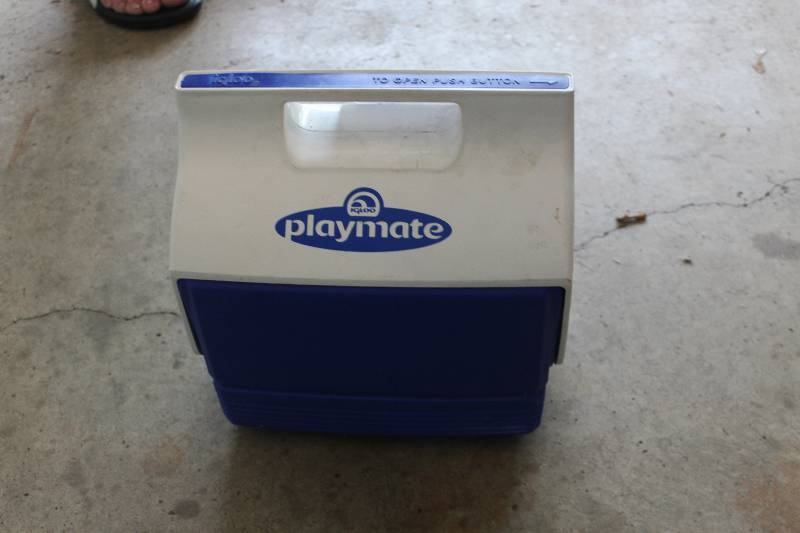 lot 204 image: Playmate Cooler