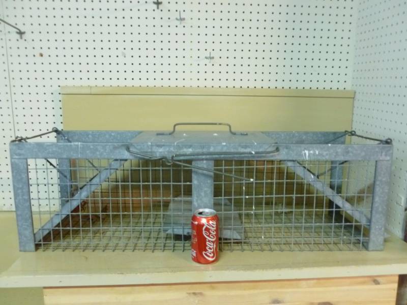 lot 15 image: Live Trap