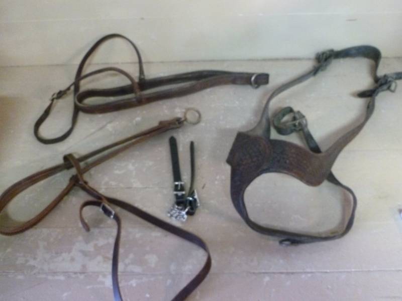 lot 238 image: Horse Equipment
