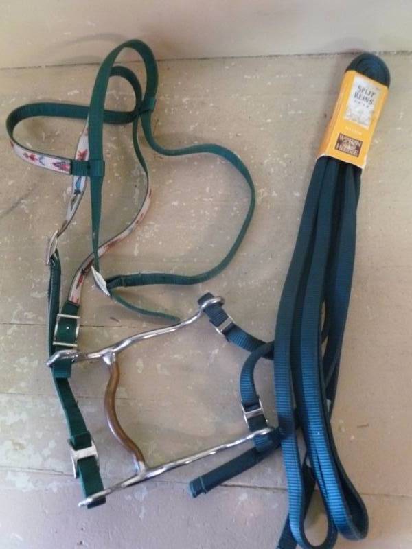 lot 240 image: Horse Equipment