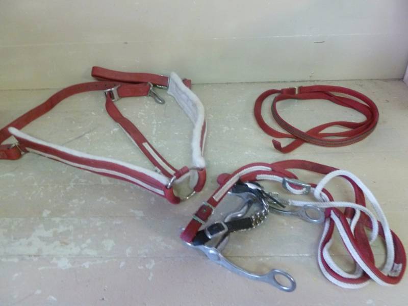 lot 241 image: Horse Equipment