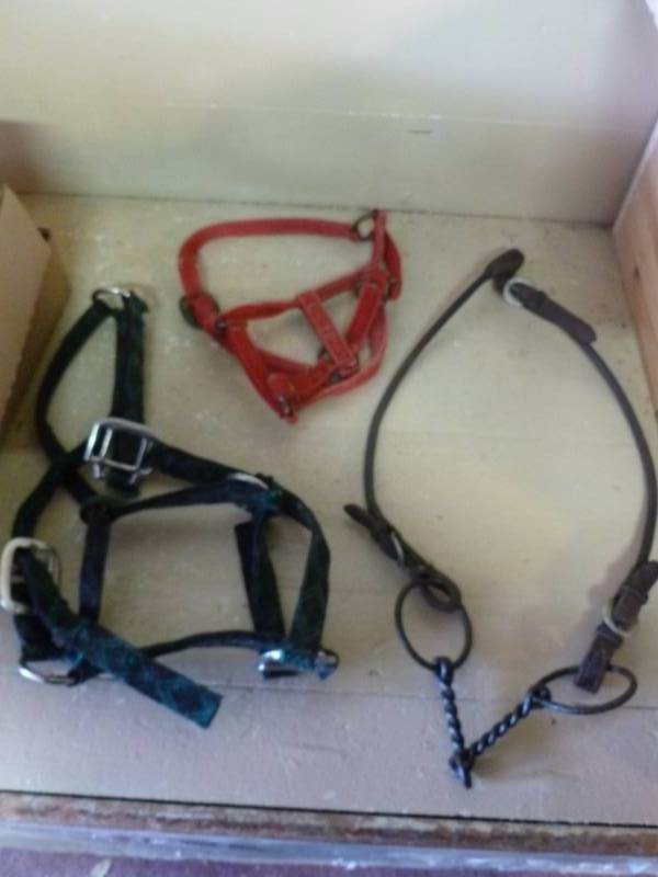 lot 242 image: Horse Equipment