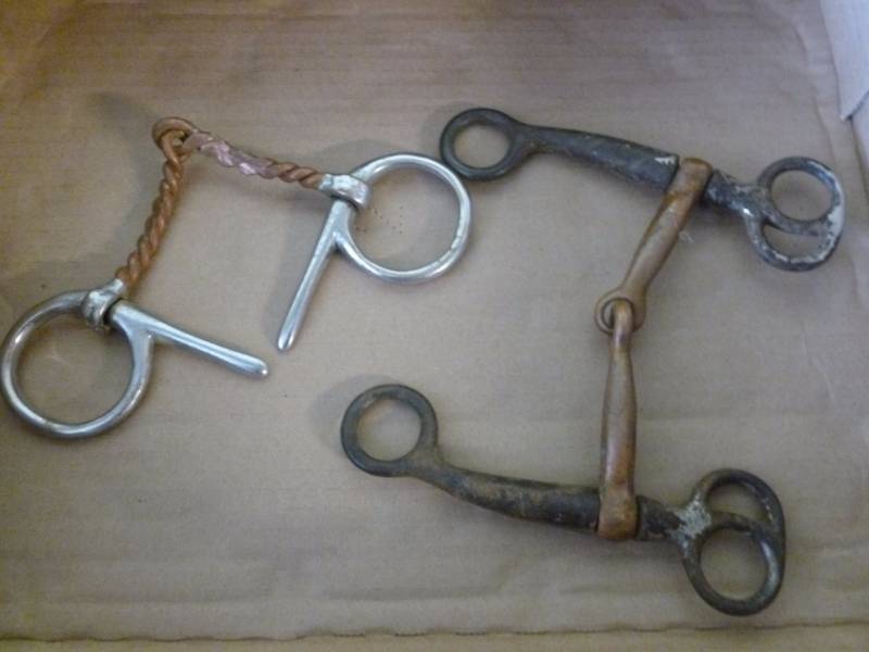 lot 244 image: Horse Equipment