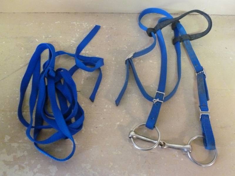 lot 246 image: Horse Equipment