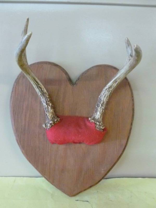 lot 251 image: Deer Rack