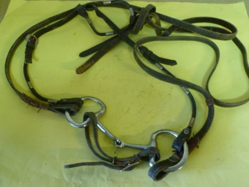 lot 258 image: Horse Equipment