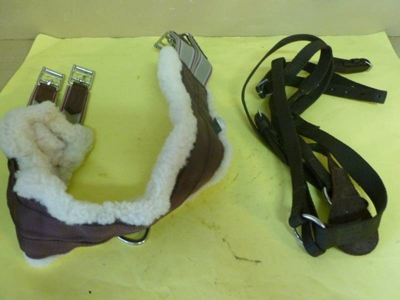 lot 261 image: Horse Equipment