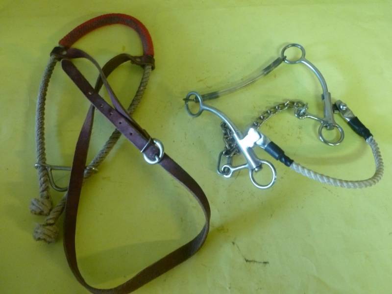 lot 264 image: Horse Equipment