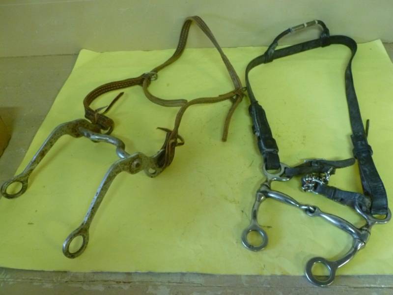 lot 265 image: Horse Equipment