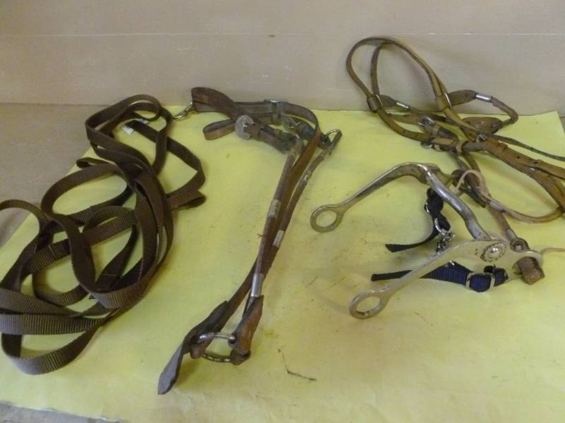lot 266 image: Horse Equipment