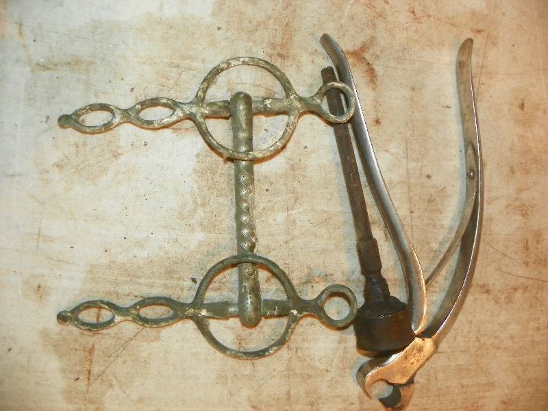 lot 325 image: HORSE BIT AND NAIL TRIMMER