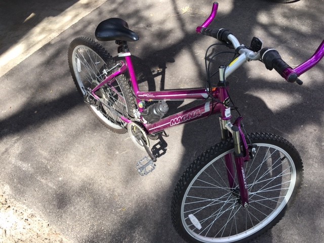 Womens Bicycle