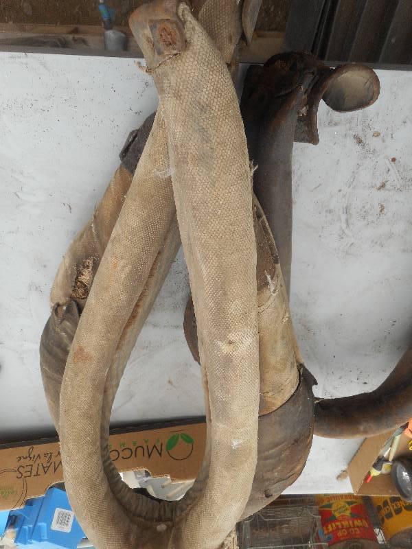 lot 209 image: VINTAGE LEATHER HORSE COLLER