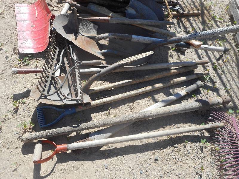 lot 251 image: SHOVE HEADS RAKE HEADS LONG HANDLES