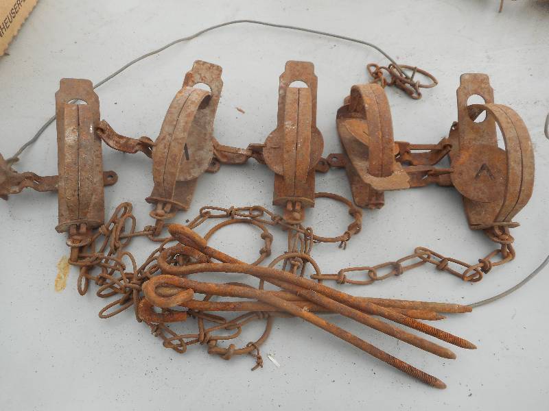 lot 265 image: 5 ANTIQUE TRAPS