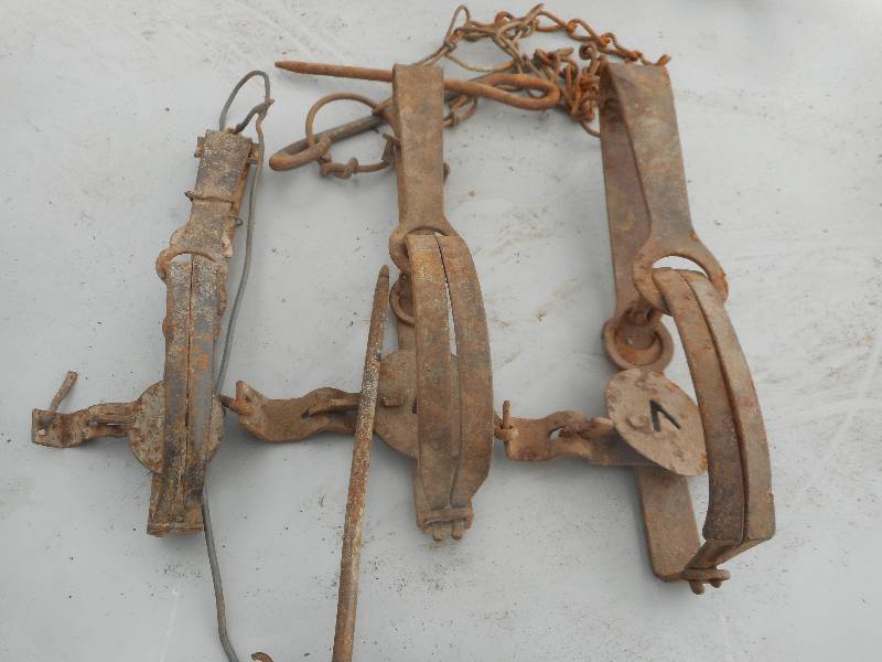 lot 270 image: 3 ANTIQUE TRAPS