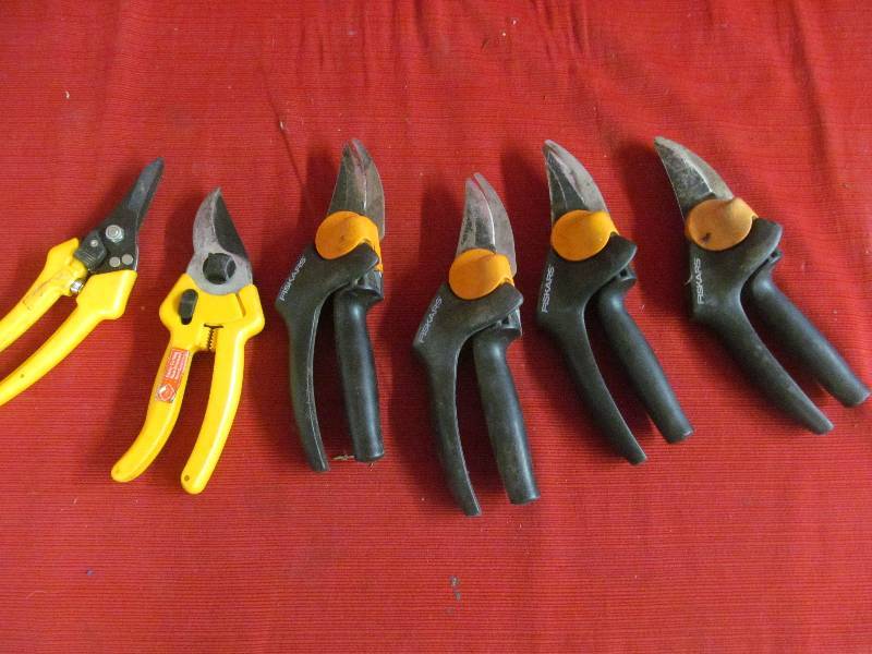 hand pruners