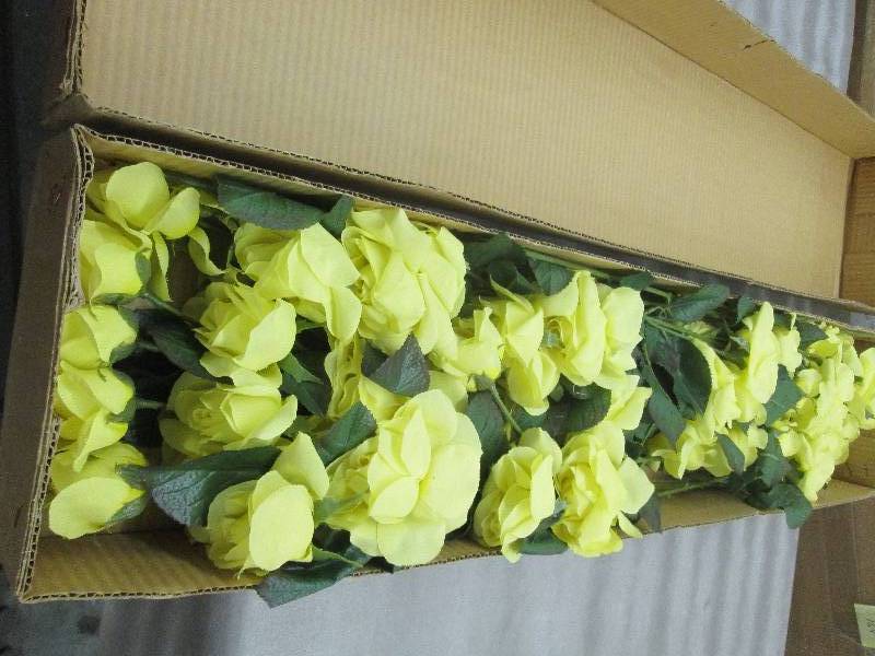 lot 47 image: 1 Dozen Stems of Yellow Roses...