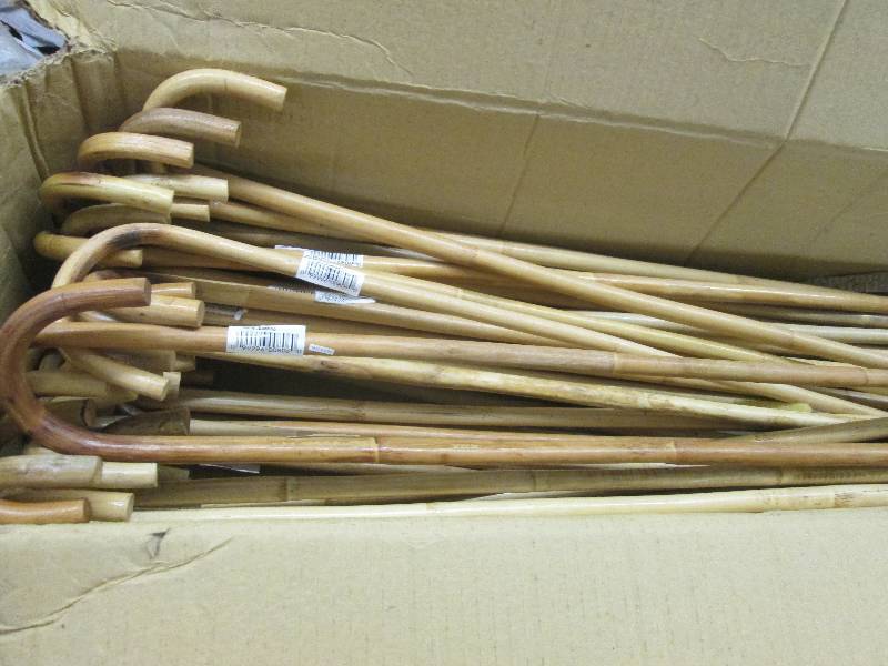 lot 49 image: Box of Bamboo Canes...