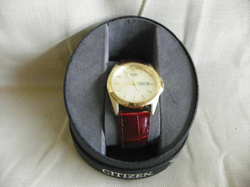Mens GT Citizen Brown Strap Watch, MSRP $79.99