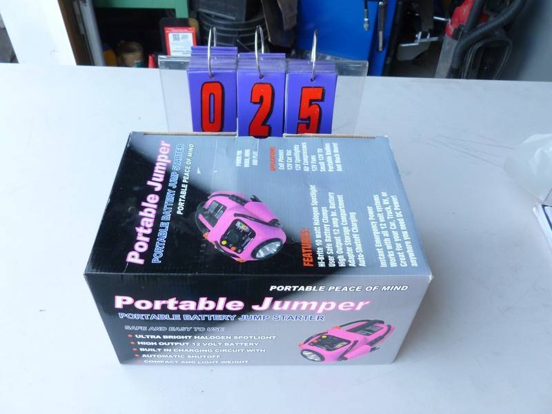 SnS Auctions # 266 Summer Go Karts & Equipment