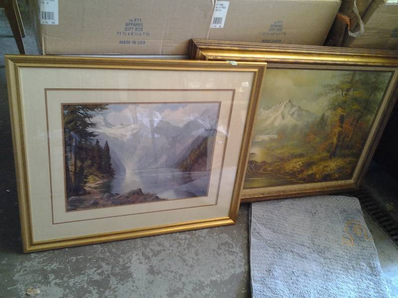 2-Mountain Scene Pictures 43x32 & 31x31
