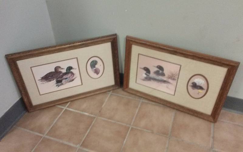 lot 73 image: Pair - Framed Loon & Duck Prints, 22x14