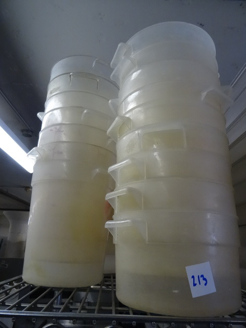 lot 213 image: 4 Qt. and 2 Qt. Prep Containers