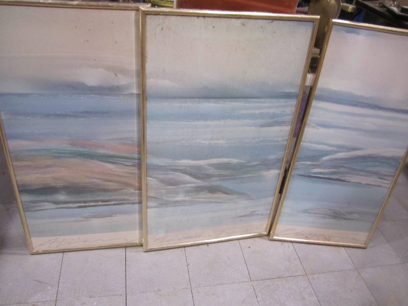 lot 264 image: 3 pieces of framed artwork...