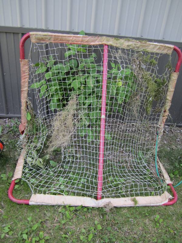 lot 318 image: Hockey Goal