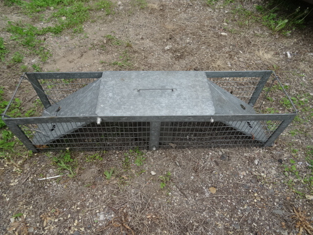lot 127 image: Live trap, 30 long...