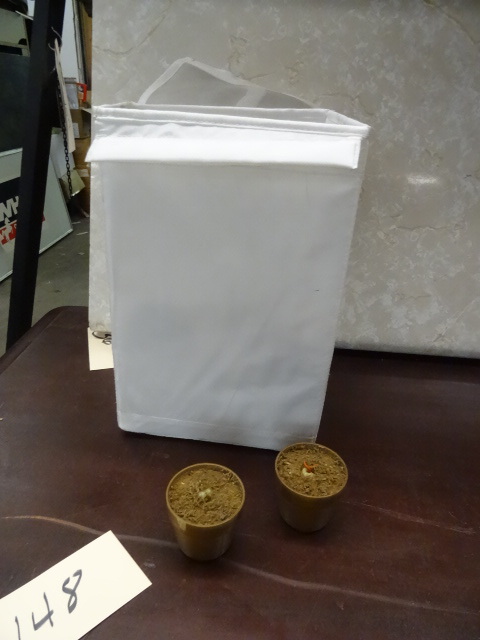 lot 148 image: Mini Flower Pots - 22 Gold, plastic...