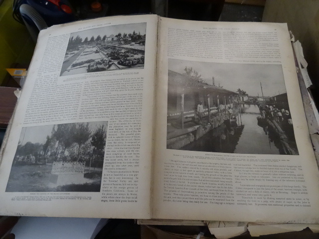 lot 202 image: Antique Book - Our Islands & Their...