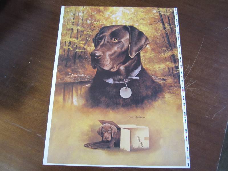 lot 23 image: Dog print...