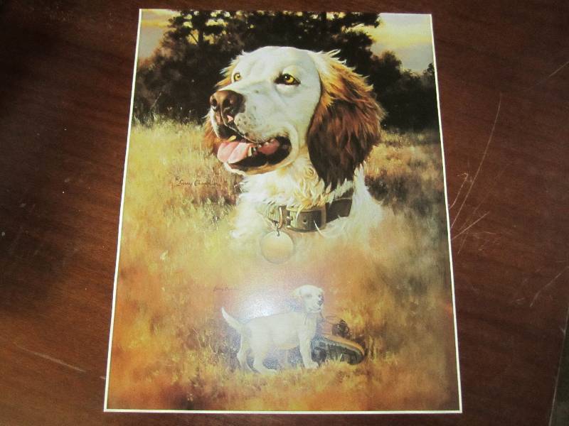 lot 24 image: Dog print...