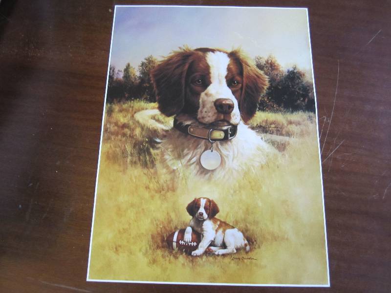 lot 27 image: Large dog with puppy print