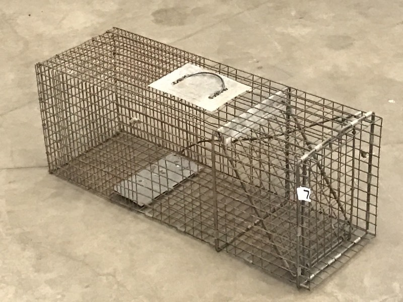 lot 70 image: Mid-Sized Animal Live Trap ...